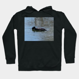 Loon Hoodie